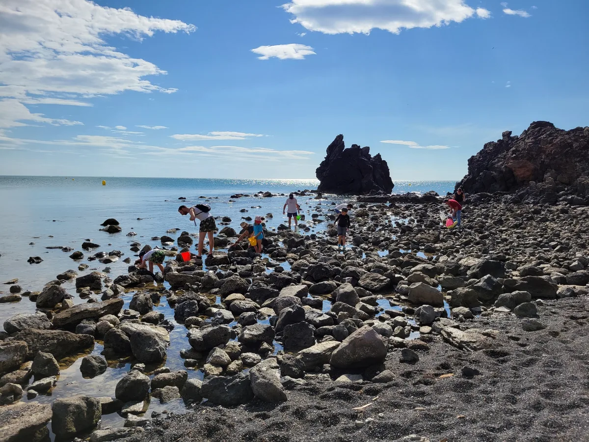 Trois jours d’animations pour célébrer la nature à la Maison de la mer du Cap d'Agde