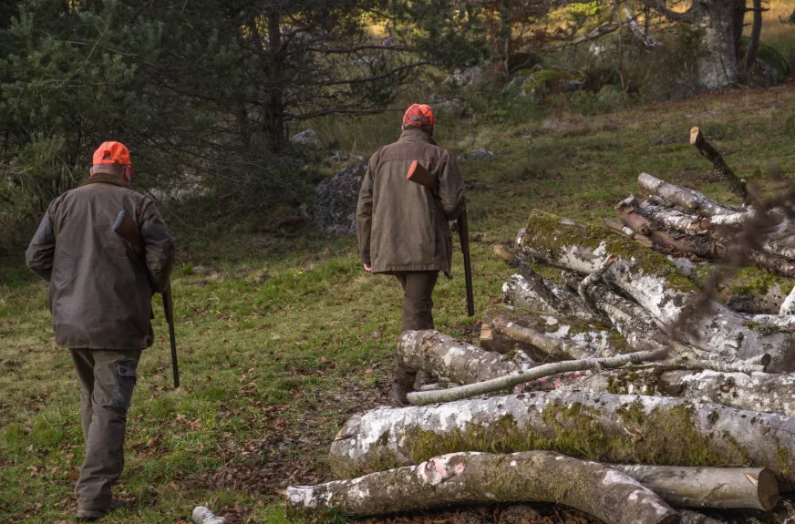 La Fédération des chasseurs de l'Hérault va-t-elle quitter Saint-Jean-de-Védas et Bédarieux pour Canet ?