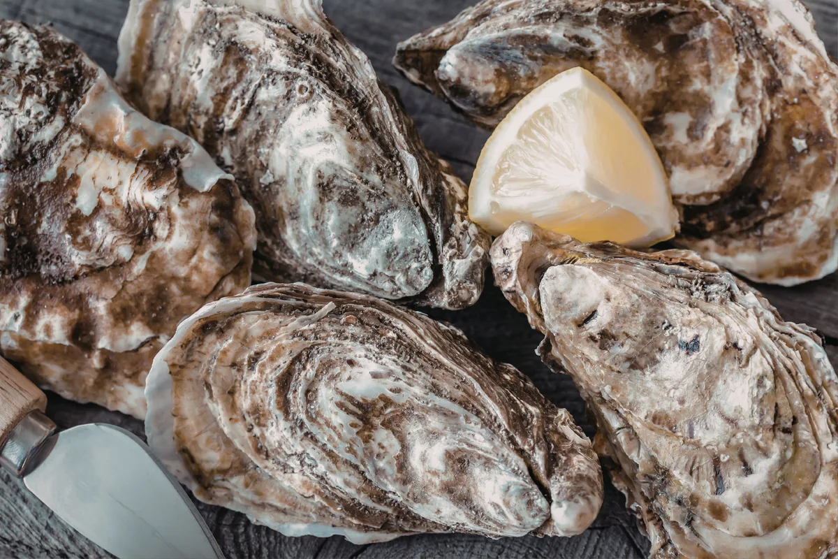 Bassin de Thau : lancement de la Conch'party, une fête de l'huître en ...