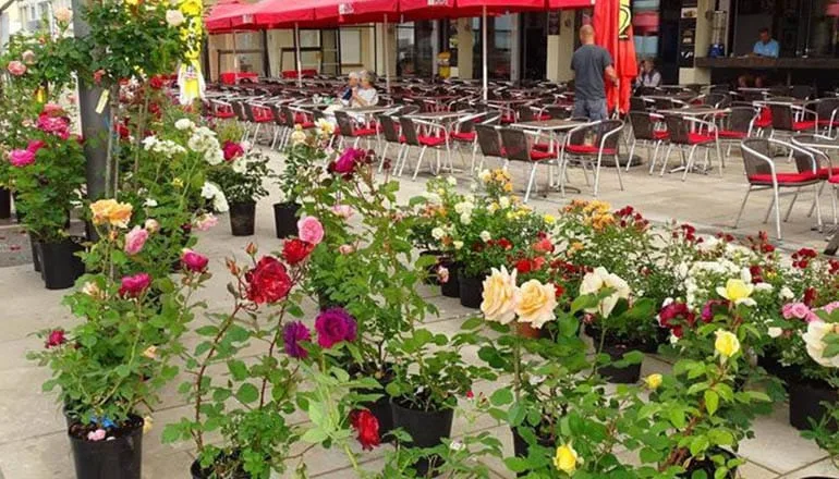 Le Grau d'Agde : les floralies auront lieu ce dimanche 7 mai