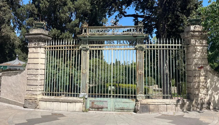 Entre royale : le Jardin des Plantes s'apprte  rouvrir son portail  historique | Hrault Tribune